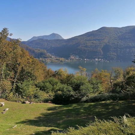 مبيت وإفطار Brusimpiano La Finestra Sul Lago المظهر الخارجي الصورة