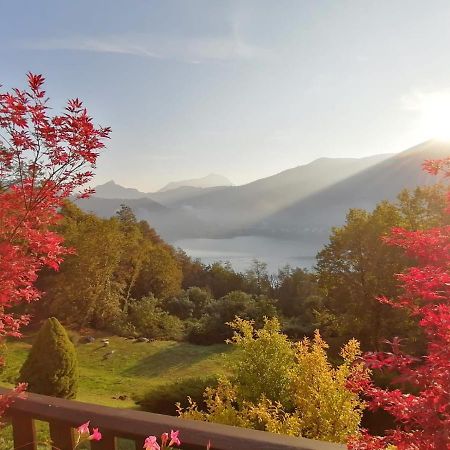 مبيت وإفطار Brusimpiano La Finestra Sul Lago المظهر الخارجي الصورة