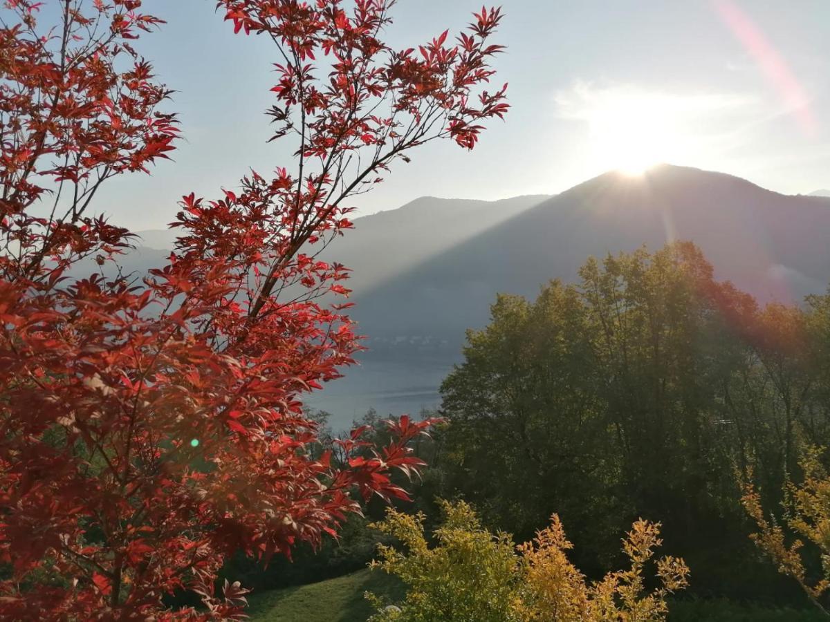 مبيت وإفطار Brusimpiano La Finestra Sul Lago المظهر الخارجي الصورة