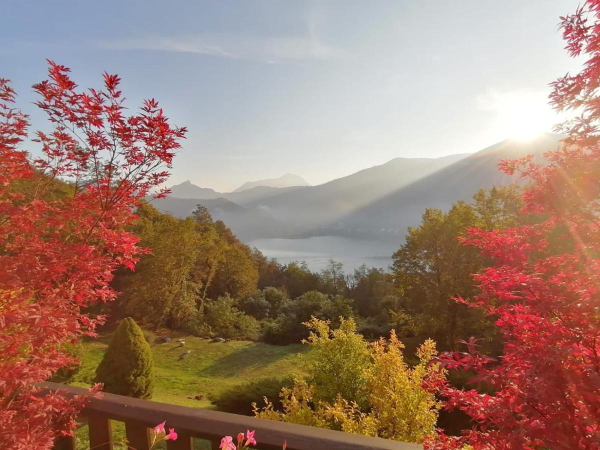 مبيت وإفطار Brusimpiano La Finestra Sul Lago المظهر الخارجي الصورة