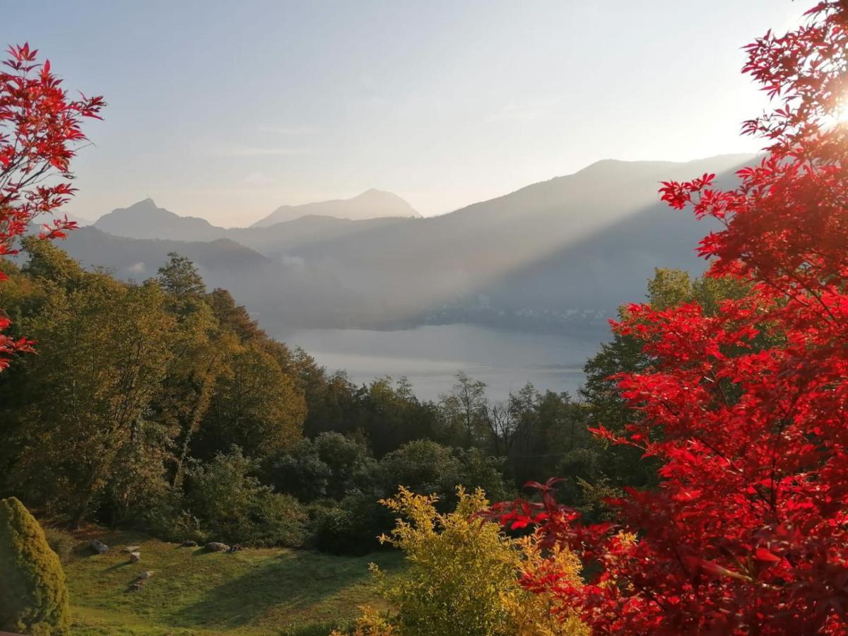 مبيت وإفطار Brusimpiano La Finestra Sul Lago المظهر الخارجي الصورة