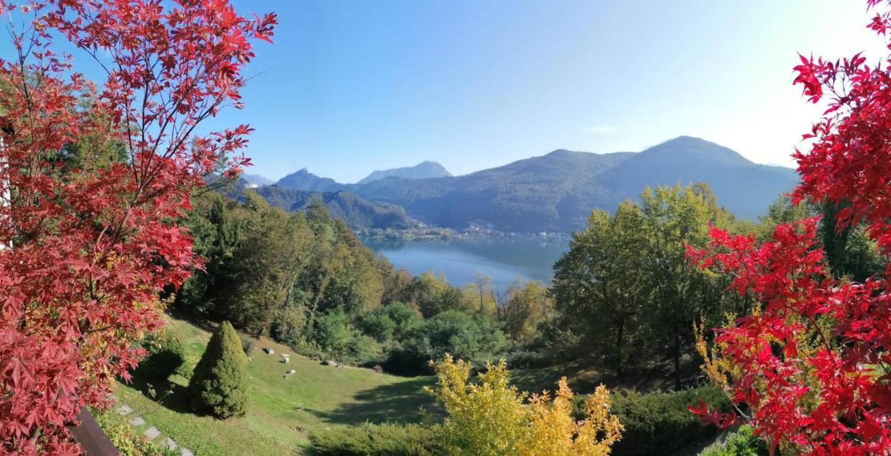 مبيت وإفطار Brusimpiano La Finestra Sul Lago المظهر الخارجي الصورة