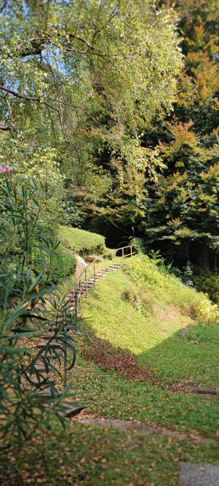 مبيت وإفطار Brusimpiano La Finestra Sul Lago المظهر الخارجي الصورة