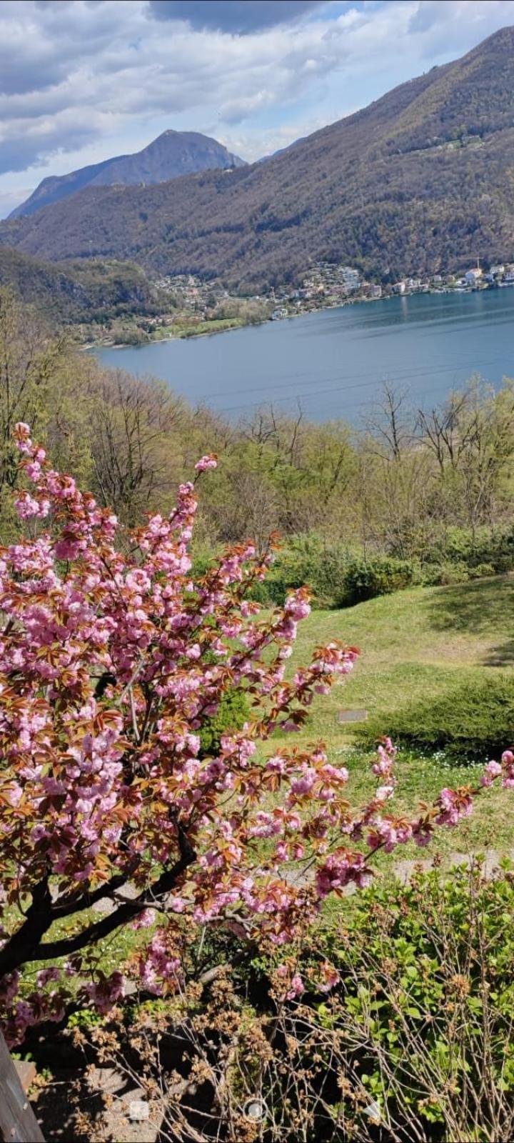 مبيت وإفطار Brusimpiano La Finestra Sul Lago المظهر الخارجي الصورة